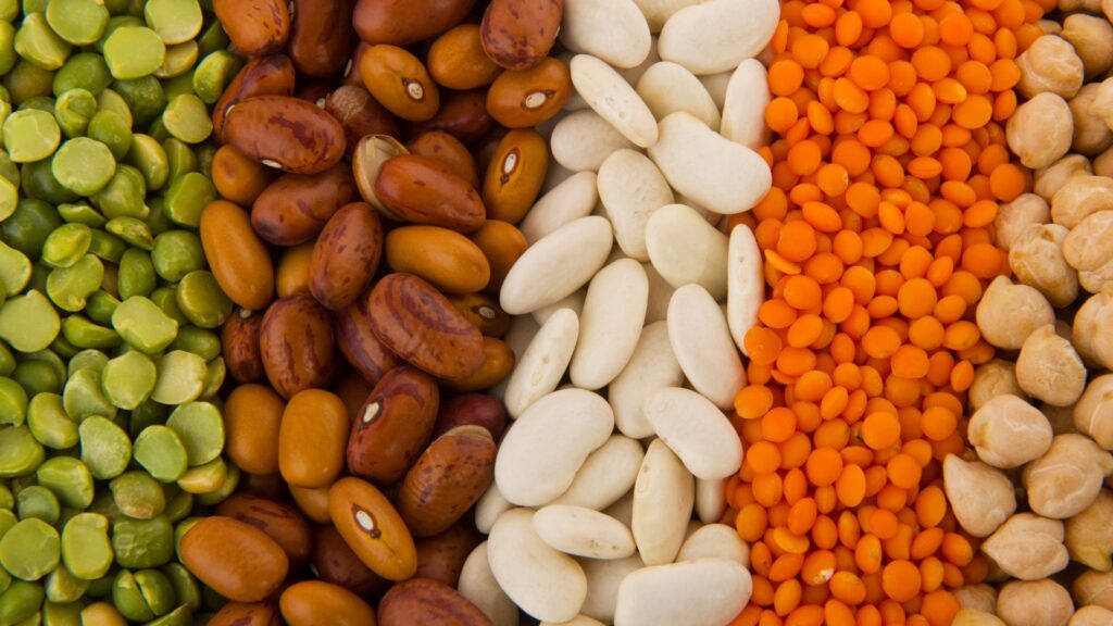 AltroStile • La Via Vegetale: Consapevolezza e Salute nell'Alimentazione