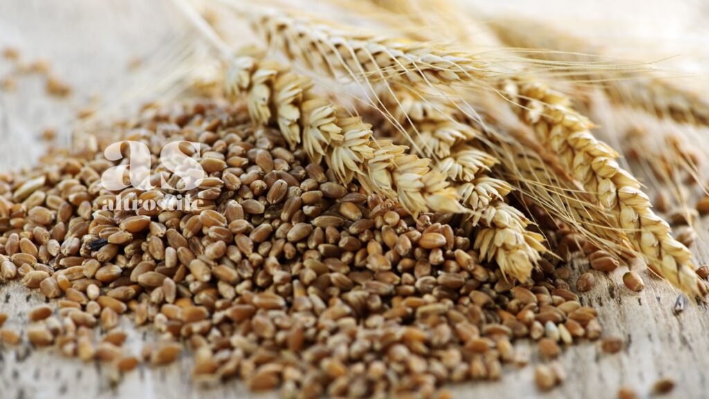 AltroStile • La Via Vegetale: Consapevolezza e Salute nell'Alimentazione