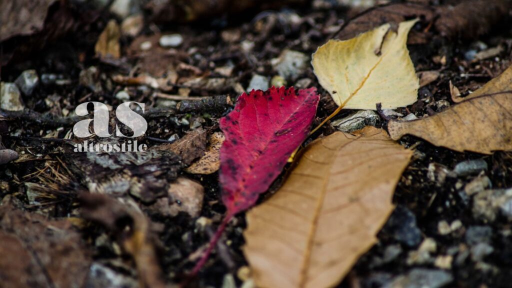 AltroStile • Non raccogliere le foglie dal giardino in autunno