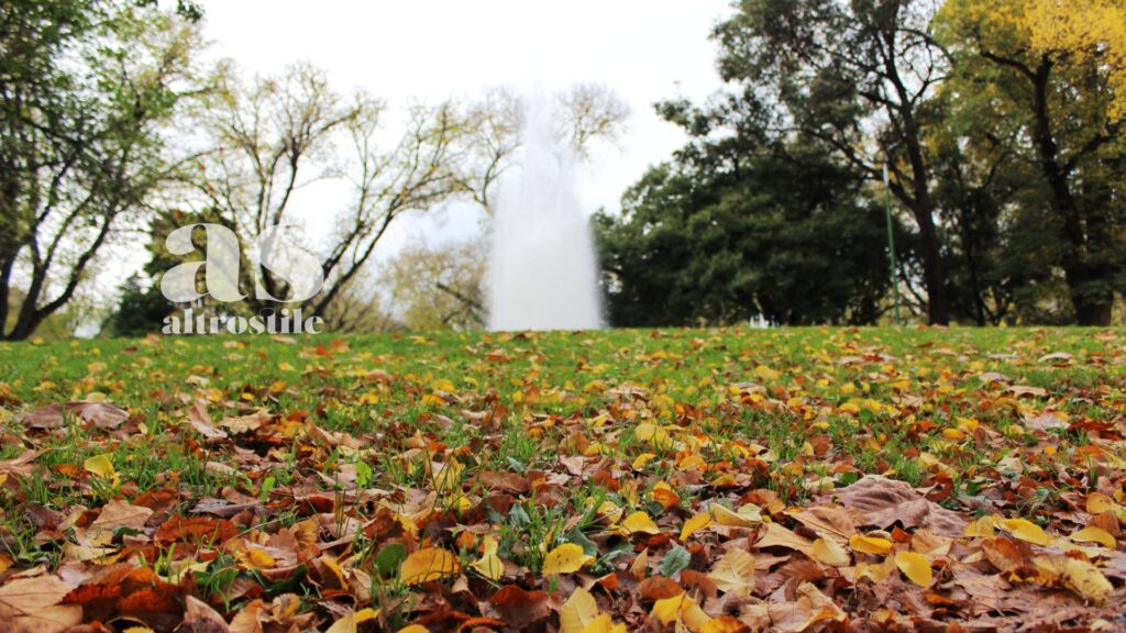 AltroStile • Non raccogliere le foglie dal giardino in autunno