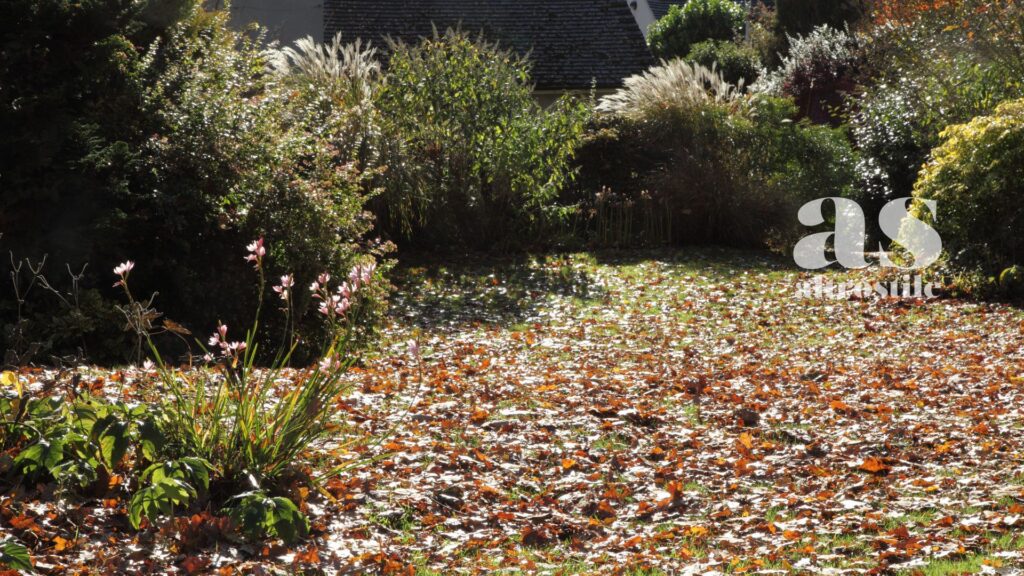 AltroStile • Non raccogliere le foglie dal giardino in autunno