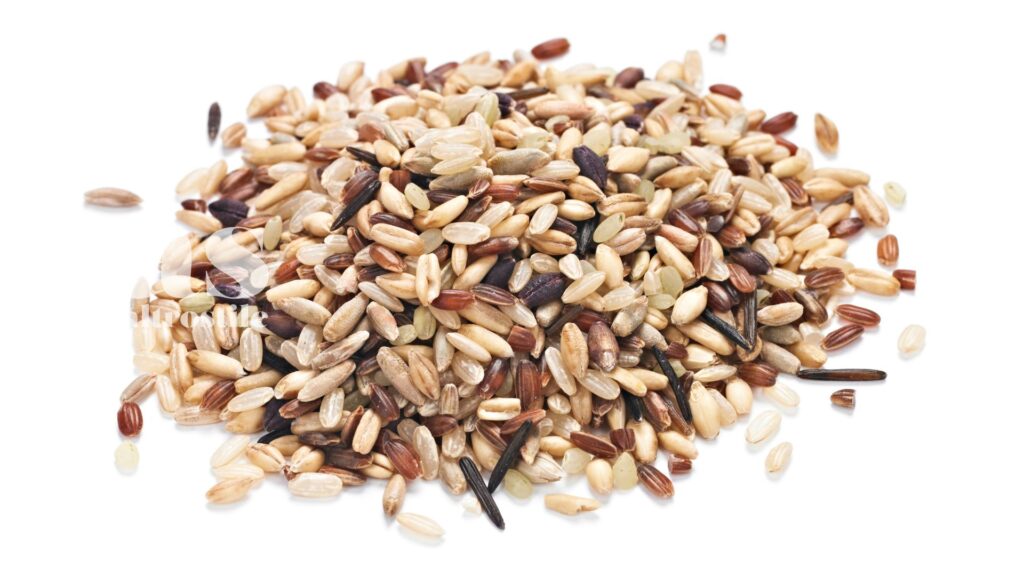 AltroStile • Nutrizione per Vivere 100 Anni: i Segreti dell'Healthy Aging