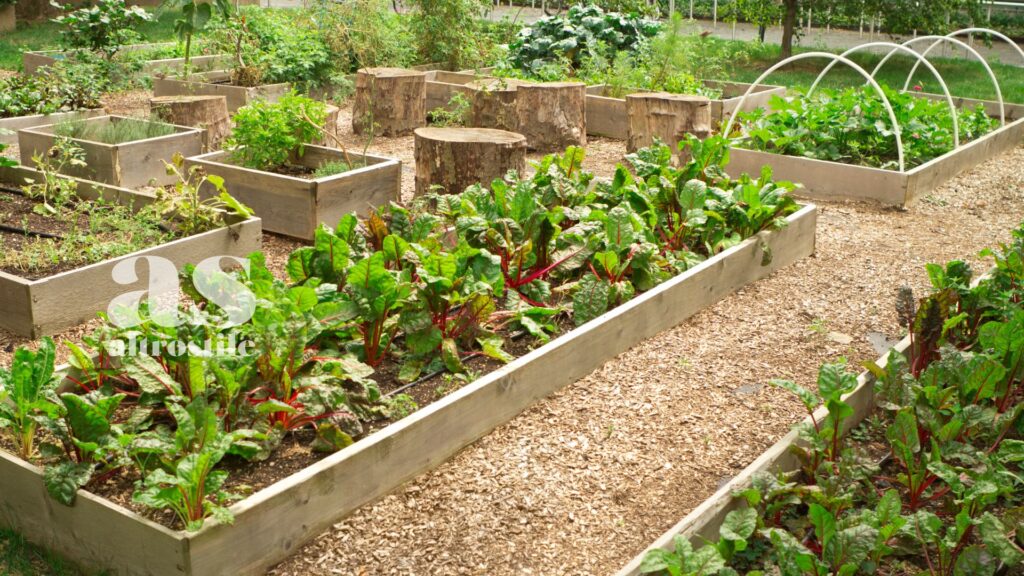 AltroStile • Insicurezza alimentare e Obesità: il paradosso nascosto degli anziani