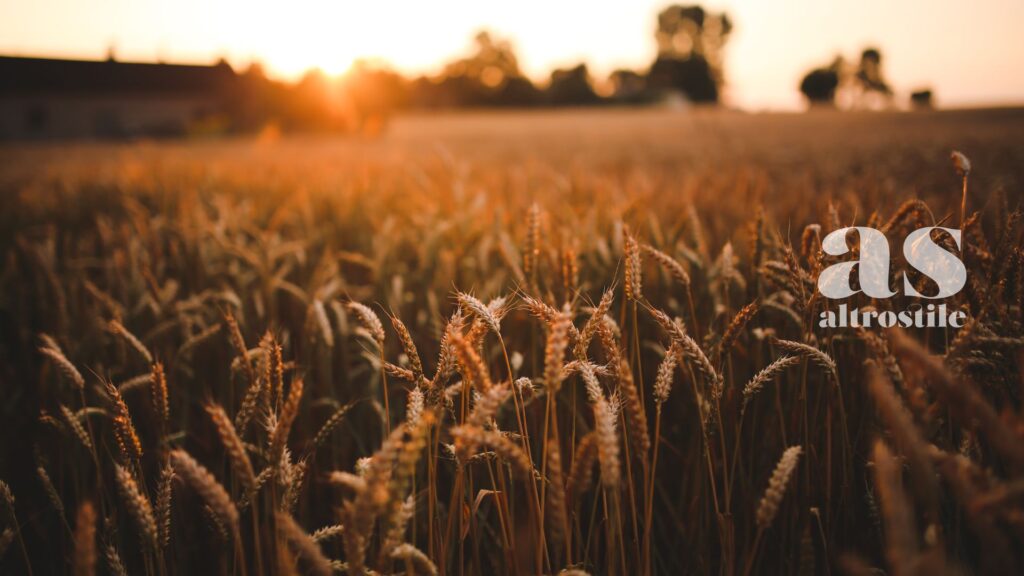 AltroStile • Qualità dei Carboidrati e Salute del Cuore