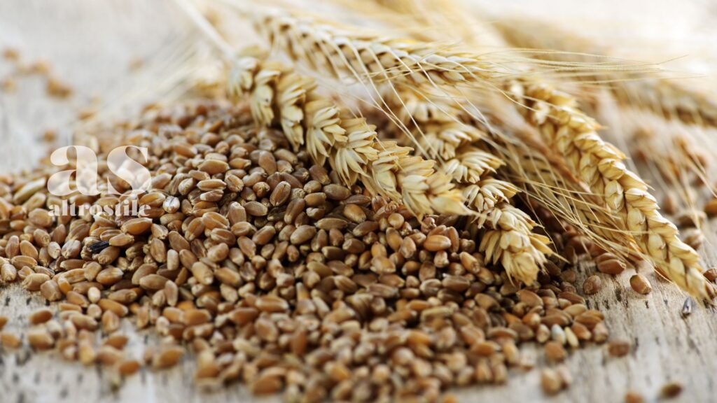 AltroStile • I 5 pilastri nutrizionali su cui tutti gli esperti concordano AltroStile • I 5 pilastri nutrizionali su cui tutti gli esperti concordano