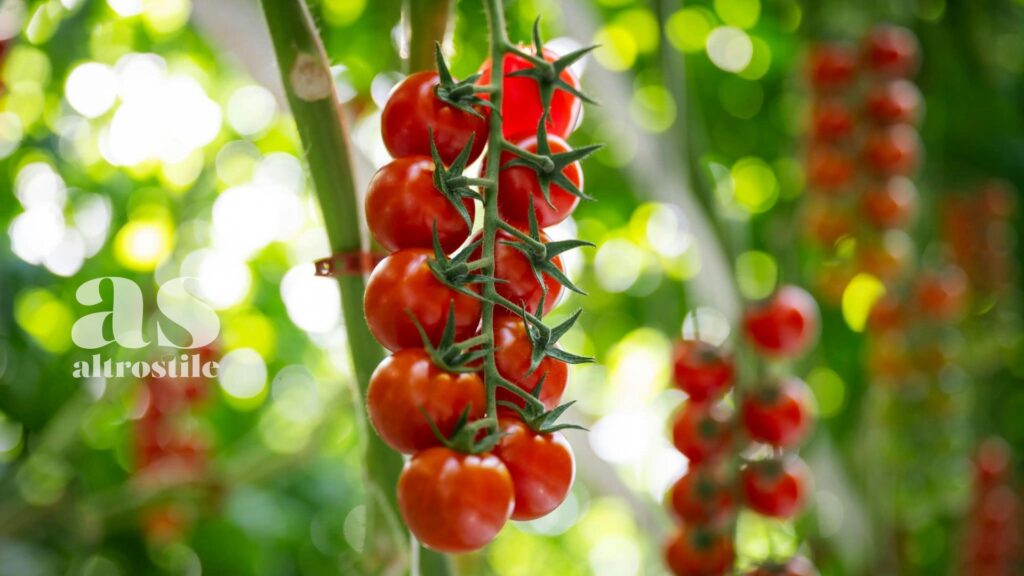 AltroStile • La Nuova Frontiera dei Flavonoidi e La Formula della Longevità AltroStile • La Nuova Frontiera dei Flavonoidi e La Formula della Longevità