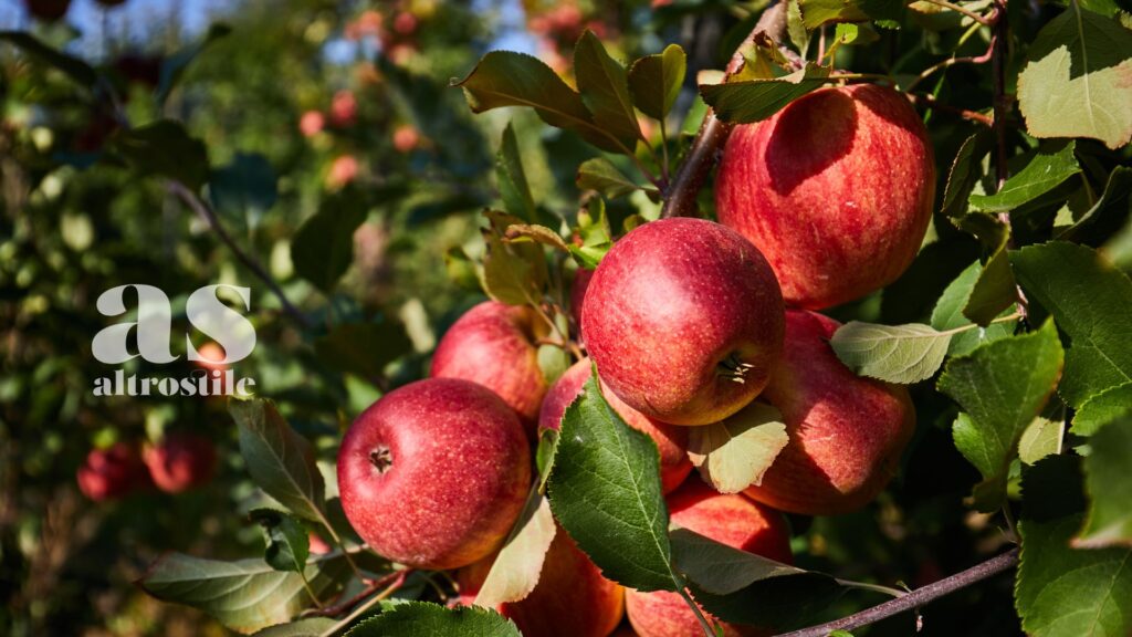 AltroStile • La Nuova Frontiera dei Flavonoidi e La Formula della Longevità AltroStile • La Nuova Frontiera dei Flavonoidi e La Formula della Longevità