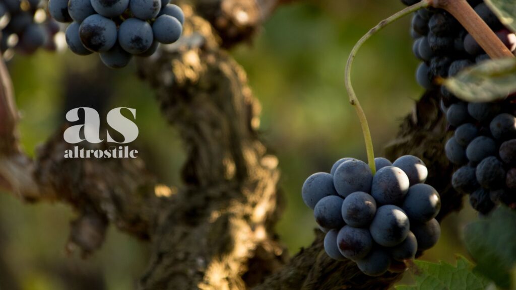 AltroStile • La Nuova Frontiera dei Flavonoidi e La Formula della Longevità AltroStile • La Nuova Frontiera dei Flavonoidi e La Formula della Longevità