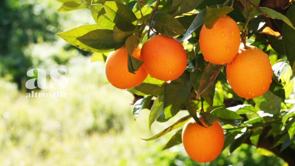 AltroStile • La Nuova Frontiera dei Flavonoidi e La Formula della Longevità AltroStile • La Nuova Frontiera dei Flavonoidi e La Formula della Longevità