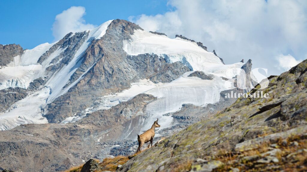 AltroStile • Natale nella Natura: 5 mete per fuggire dal caos (e rigenerarsi) AltroStile • Natale nella Natura: 5 mete per fuggire dal caos (e rigenerarsi)
