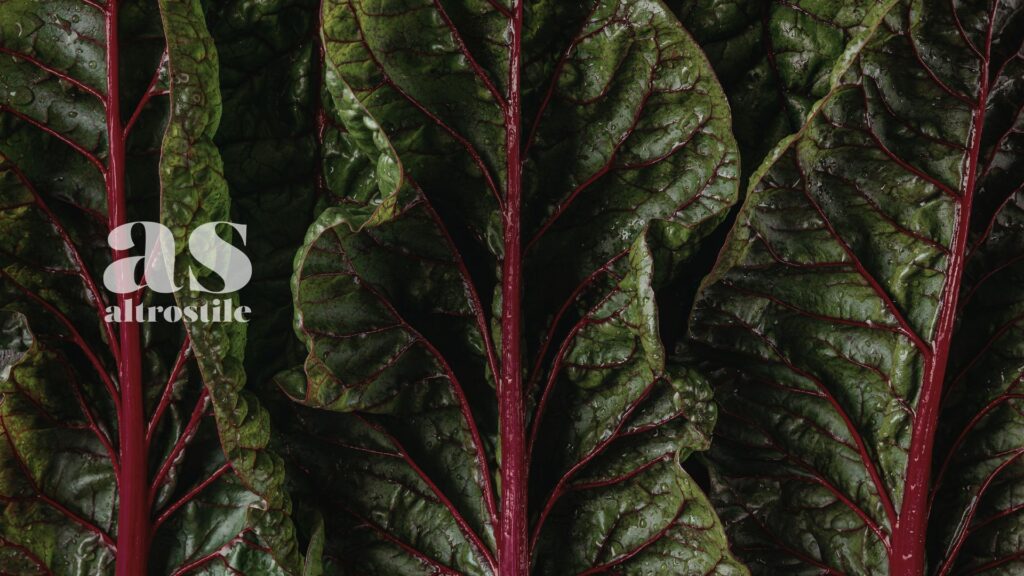 AltroStile • Verdure a foglia verde: cosa succede al tuo corpo se le mangi ogni giorno? AltroStile • Verdure a foglia verde: cosa succede al tuo corpo se le mangi ogni giorno?