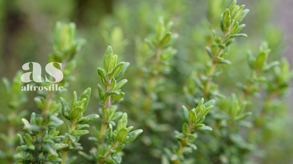 AltroStile • Yogurt Greco: 9 motivi per mangiarlo (quasi) ogni giorno AltroStile • Yogurt Greco: 9 motivi per mangiarlo (quasi) ogni giorno