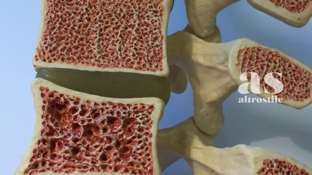 AltroStile • Perché i muscoli sono il tuo "organo della longevità" (e come salvarli dopo i 40 anni) AltroStile • Perché i muscoli sono il tuo "organo della longevità" (e come salvarli dopo i 40 anni)
