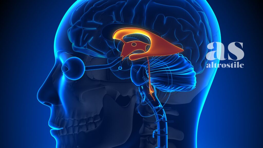 AltroStile • Dormire 8 ore a notte: ecco cosa succede (davvero) al tuo corpo AltroStile • Dormire 8 ore a notte: ecco cosa succede (davvero) al tuo corpo