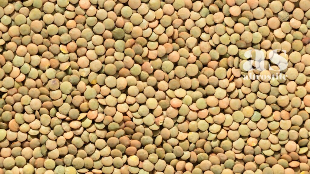 AltroStile • Longevità: quali sono le migliori ricette vegetariane per vivere a lungo? AltroStile • Longevità: quali sono le migliori ricette vegetariane per vivere a lungo?