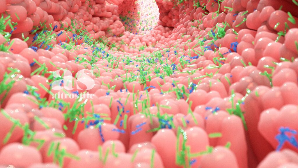 AS • Longevità alimentare: la guida completa basata sulla scienza AS • Longevità alimentare: la guida completa basata sulla scienza