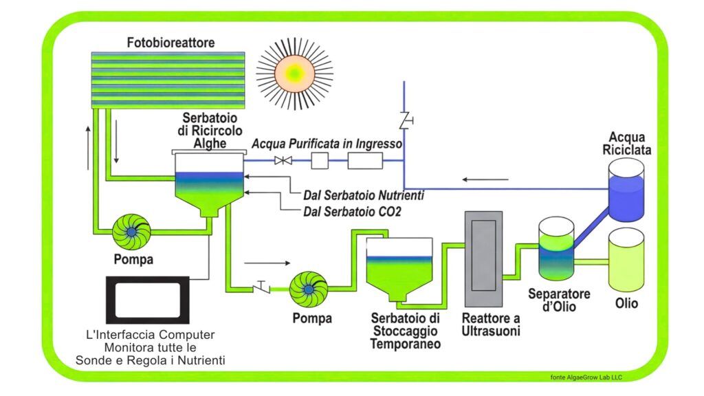 AS • Omega-3: perchè ti servono? Guida ai benefici e alla integrazione, anche algale AS • Omega-3: perchè ti servono? Guida ai benefici e alla integrazione, anche algale