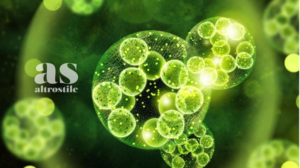 AS • Omega-3: perchè ti servono? Guida ai benefici e alla integrazione, anche algale AS • Omega-3: perchè ti servono? Guida ai benefici e alla integrazione, anche algale