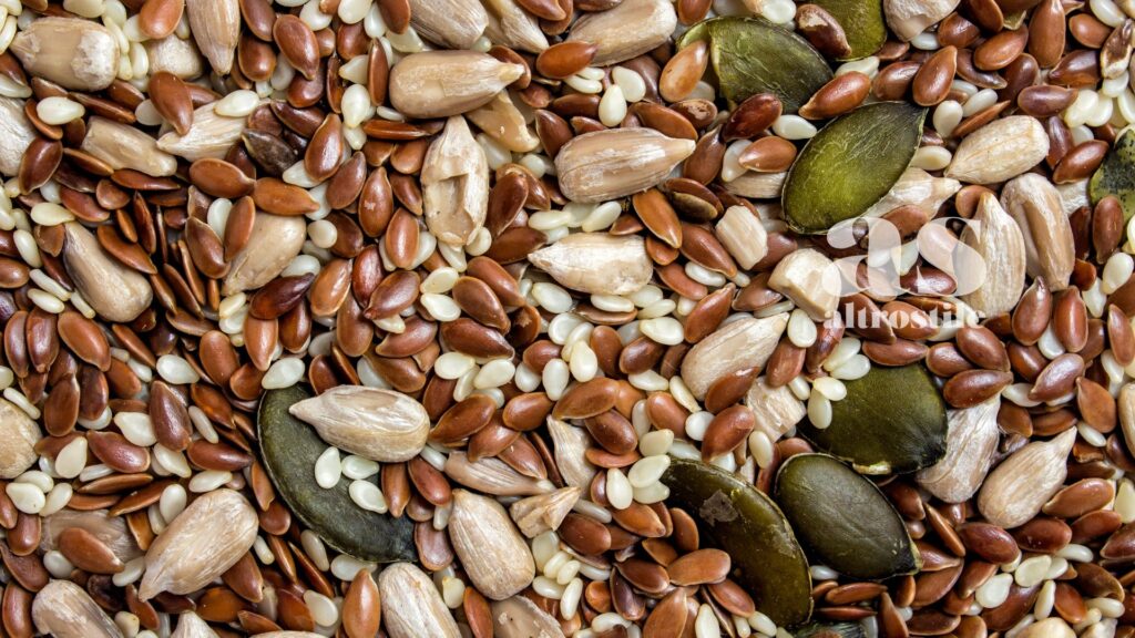 AltroStile • Longevità: quali sono le migliori ricette vegetariane per vivere a lungo? AltroStile • Longevità: quali sono le migliori ricette vegetariane per vivere a lungo?