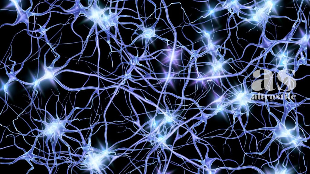 AltroStile • Creatina e cervello: il nootropo più studiato al mondo che stavi ignorando AltroStile • Creatina e cervello: il nootropo più studiato al mondo che stavi ignorando