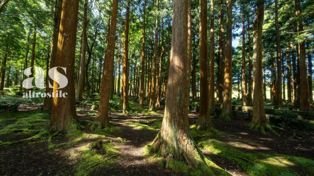 AS • Il silenzio è il nuovo lusso: come difendere la mente dal rumore continuo AS • Il silenzio è il nuovo lusso: come difendere la mente dal rumore continuo