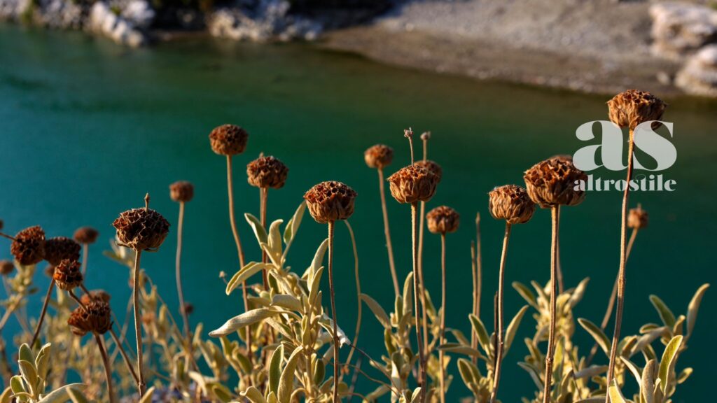 AS • Albania e benessere: terme a cielo aperto, natura selvaggia e un mare Adriatico da scoprire AS • Albania e benessere: terme a cielo aperto, natura selvaggia e un mare Adriatico da scoprire