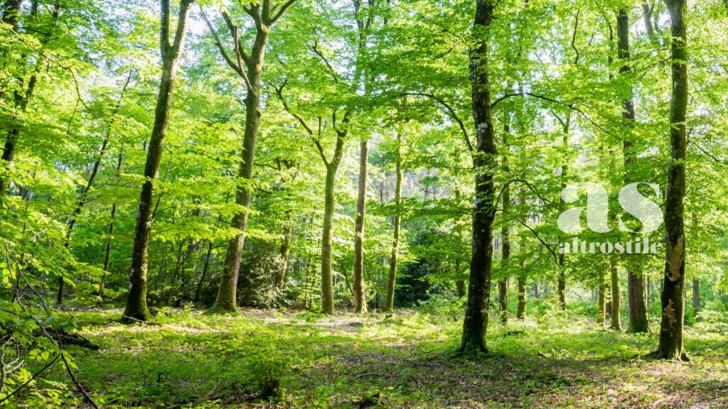 AS • Ecologia, Donne e Resilienza: i 35 anni della Fondazione Yves Rocher e la sfida verde in Italia AS • Ecologia, Donne e Resilienza: i 35 anni della Fondazione Yves Rocher e la sfida verde in Italia