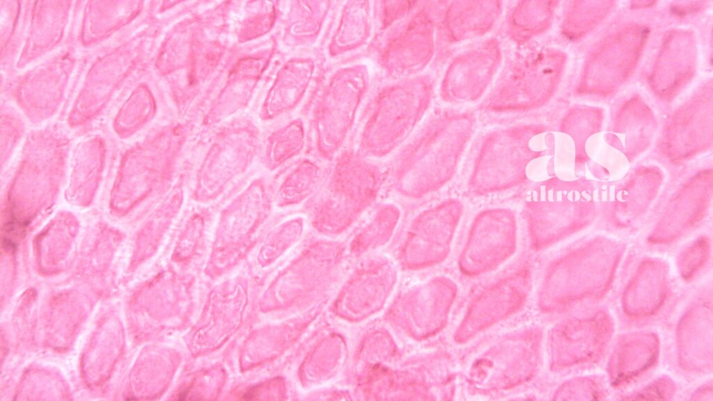 AS • Come i peptidi stanno riscrivendo la medicina rigenerativa AS • Come i peptidi stanno riscrivendo la medicina rigenerativa