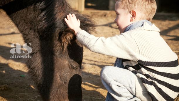 AS &bull; Bambini e rispetto per gli animali: guida etica per un futuro pi&ugrave; empatico
