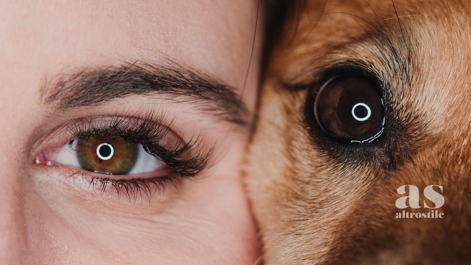 Cani E Umani AltroStile Salute E Benessere