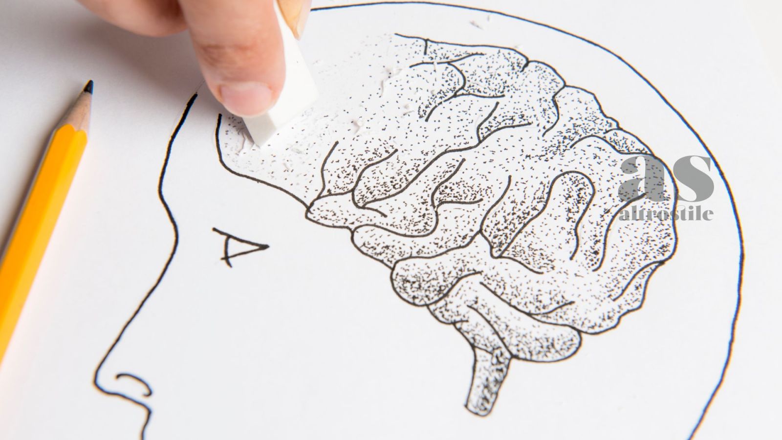 AS • Nebbia Mentale: 12 Strategie per una Mente Lucida Nebbia mentale