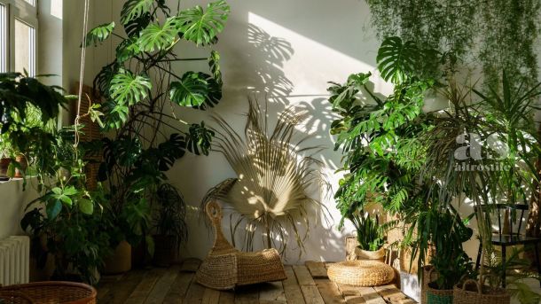 AS &bull; Grande Barriera Corallina: la moria di coralli pi&ugrave; grave mai registrata