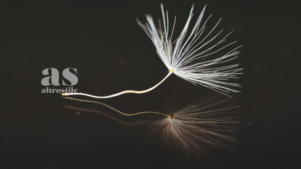 AS &bull; Il silenzio è il nuovo lusso: come difendere la mente dal rumore continuo