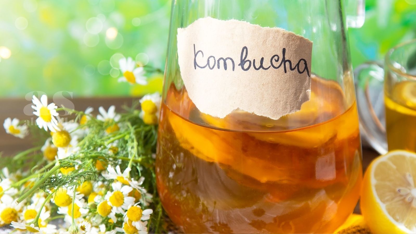 AS • Kombucha: elisir di lunga vita AS • Kombucha: elisir di lunga vita