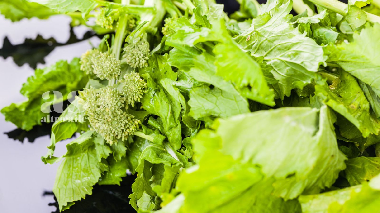 AS • Cime di rapa: ricche dei sapori del Sud AS • Cime di rapa: ricche dei sapori del Sud