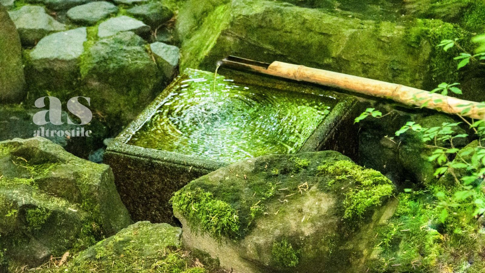 AS • Giardini e balconi pluviali, strategie per la gestione dell'acqua AS • Giardini e balconi pluviali, strategie per la gestione dell'acqua