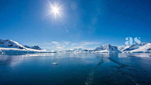 AS &bull; Grande Barriera Corallina: la moria di coralli pi&ugrave; grave mai registrata