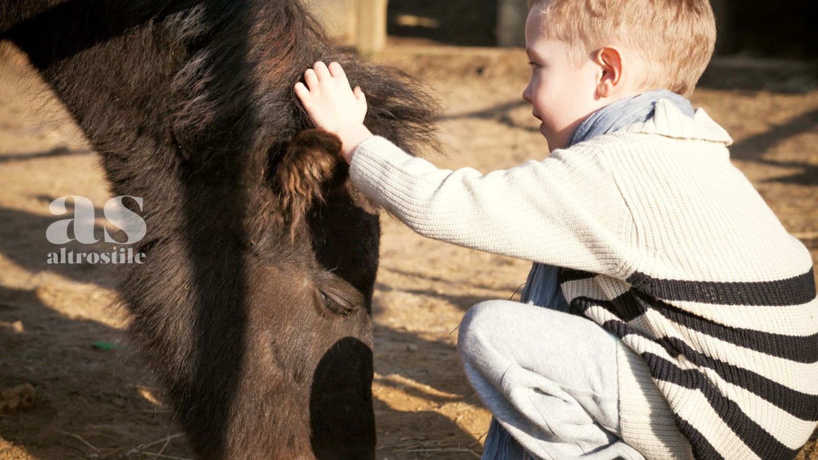 AS • POP-Pony&OncologiaPediatrica: Qualità di vita in oncologia pediatrica AS • POP-Pony&OncologiaPediatrica: Qualità di vita in oncologia pediatrica