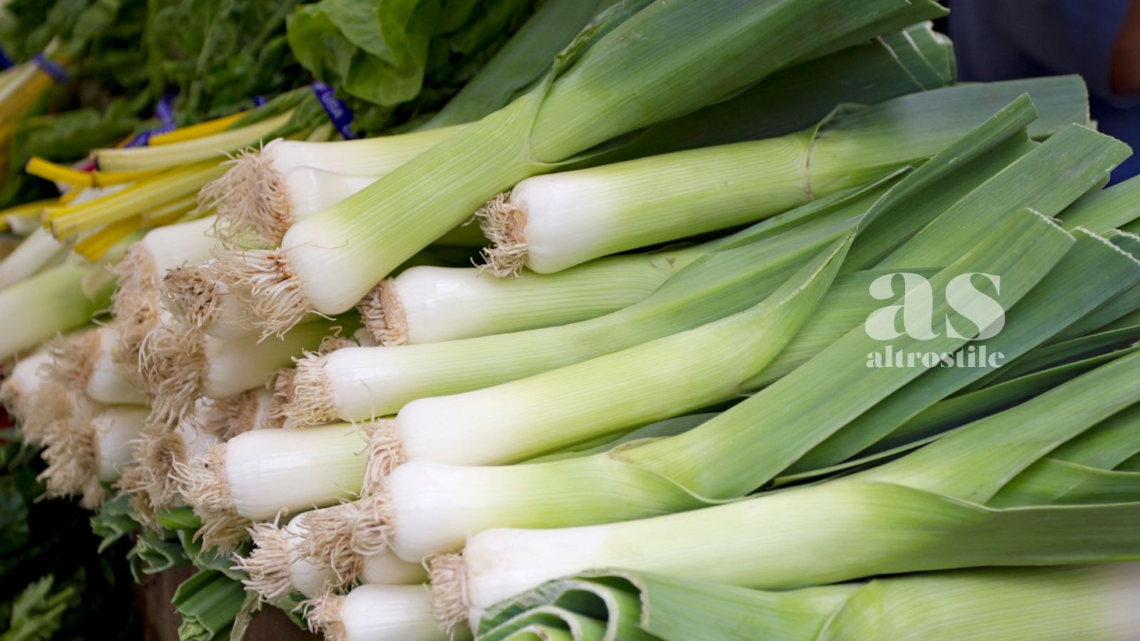 AS • Il Porro: un vero superfood e 3 Ricette Vegetariane AS • Il Porro: un vero superfood e 3 Ricette Vegetariane