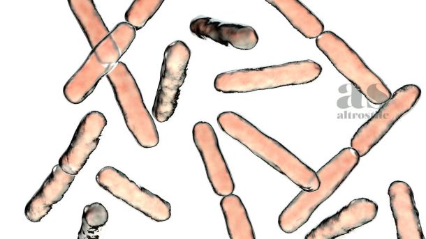 AS • Salute e Benessere AS • Salute e Benessere