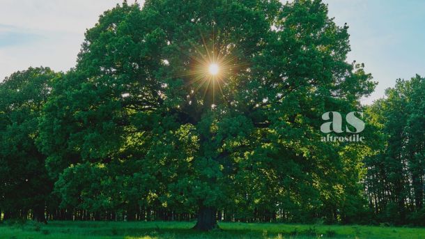 AS &bull; Abbondanza: 5 strategie del pensiero consapevole