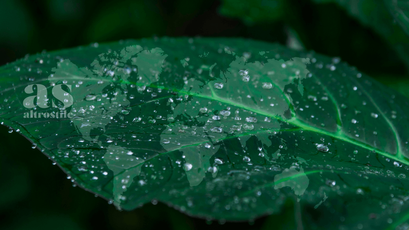 AS • Vivere Green: una responsabilità condivisa AS • Vivere Green: una responsabilità condivisa