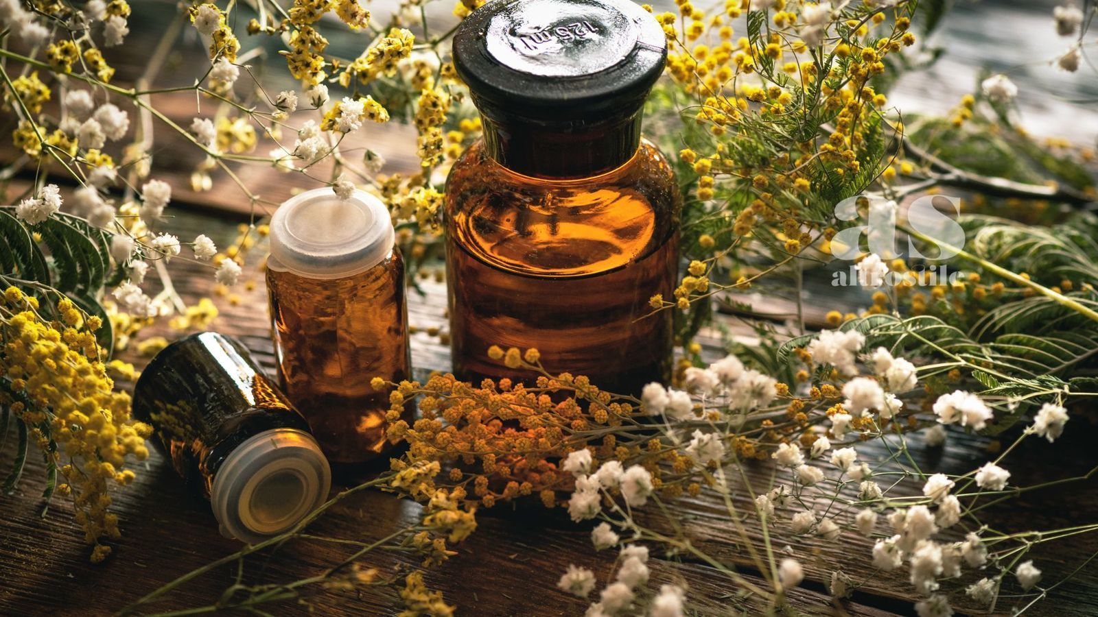 AS &bull; Piante da erboristeria, aiuto alla salute a ogni et&agrave;