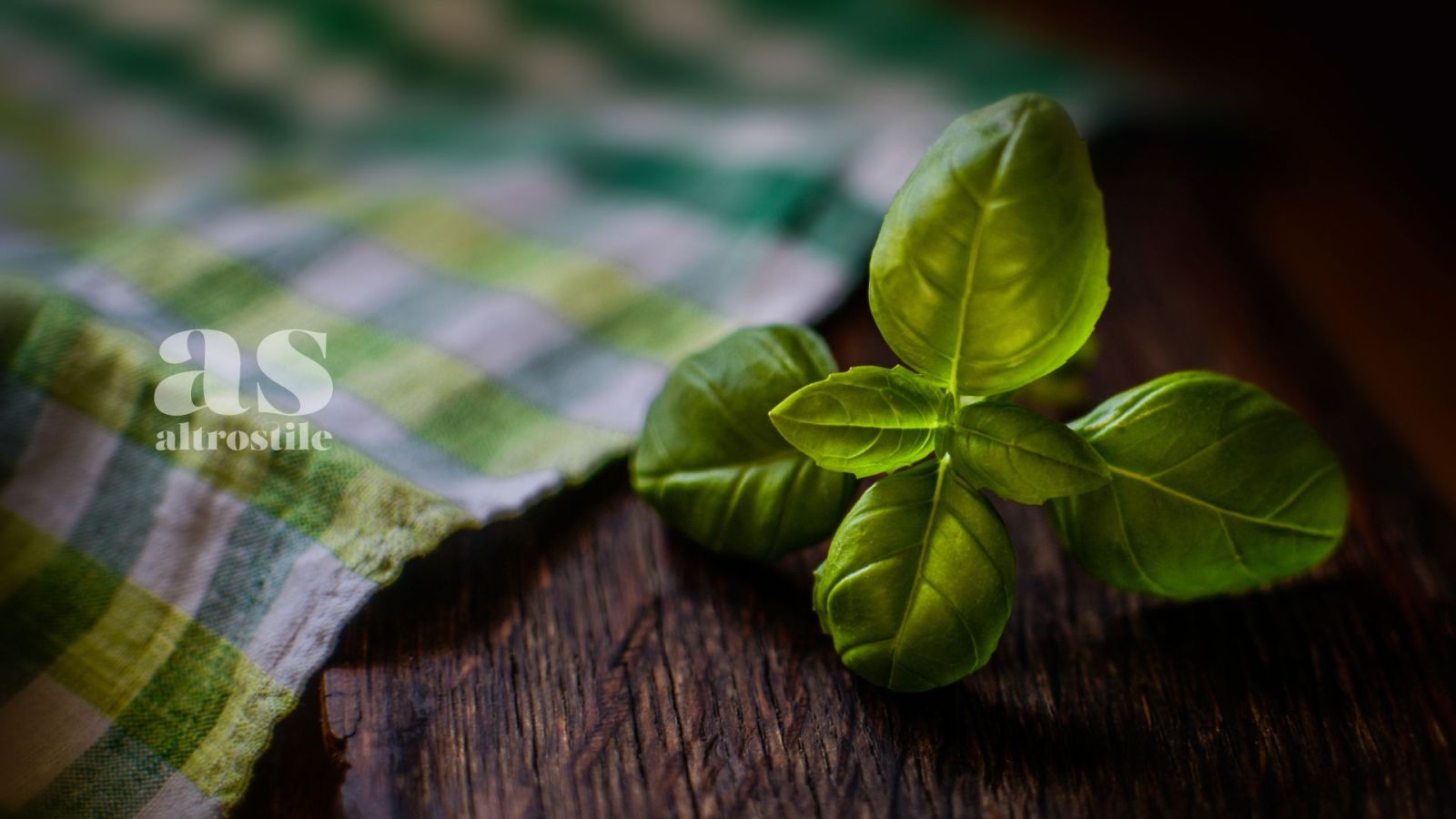 AS • Basilico: Erba Aromatica per Benessere e Cucina AS • Basilico: Erba Aromatica per Benessere e Cucina