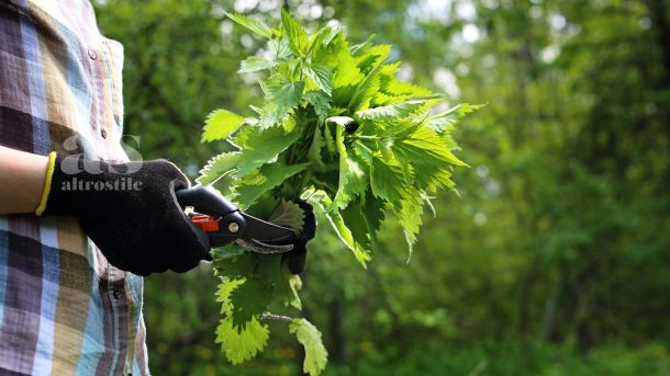 AS • Salute e Benessere AS • Salute e Benessere