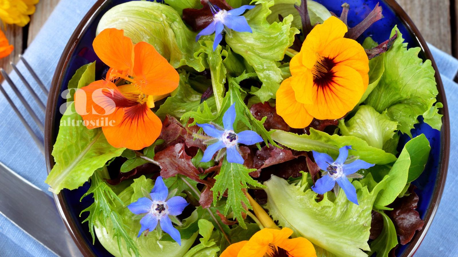 AS • Fiori da mangiare: la guida completa ai fiori commestibili da coltivare in casa AS • Fiori da mangiare: la guida completa ai fiori commestibili da coltivare in casa