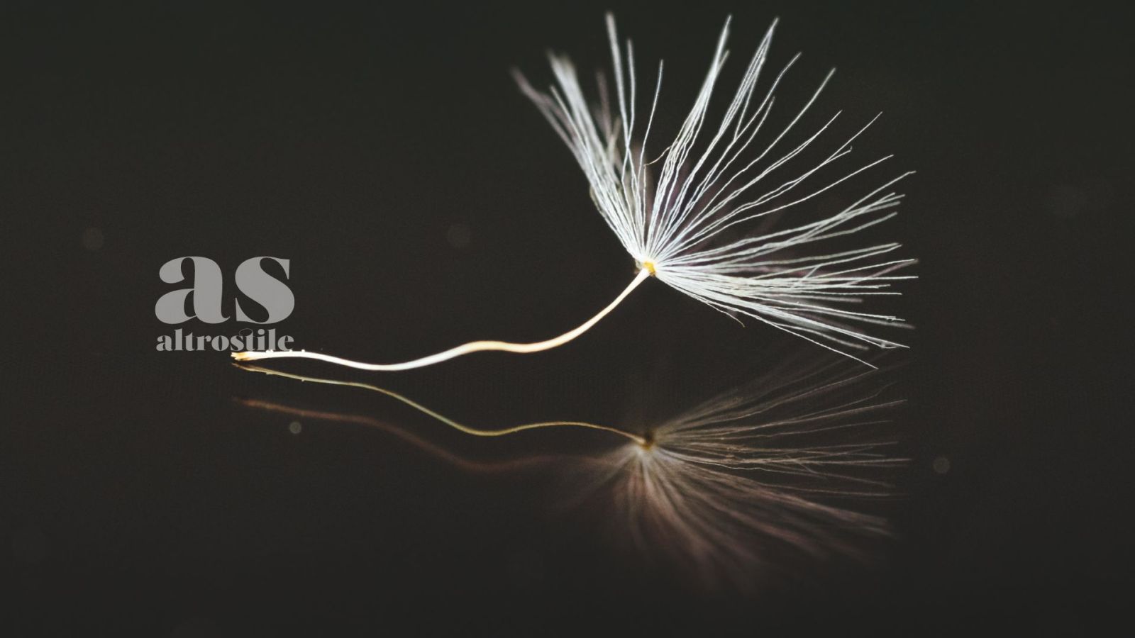 AS • 9 Abitudini Minimaliste che ti faranno risparmiare ore AS • 9 Abitudini Minimaliste che ti faranno risparmiare ore