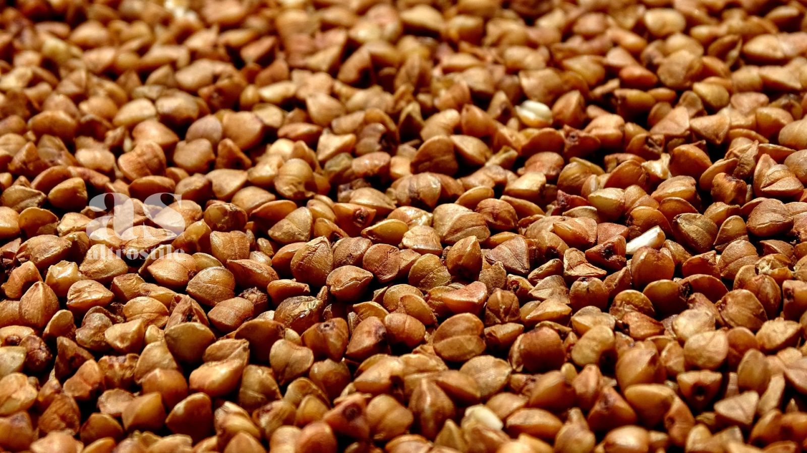 AS • Grano saraceno: cibo in trend per il 2024 AS • Grano saraceno: cibo in trend per il 2024