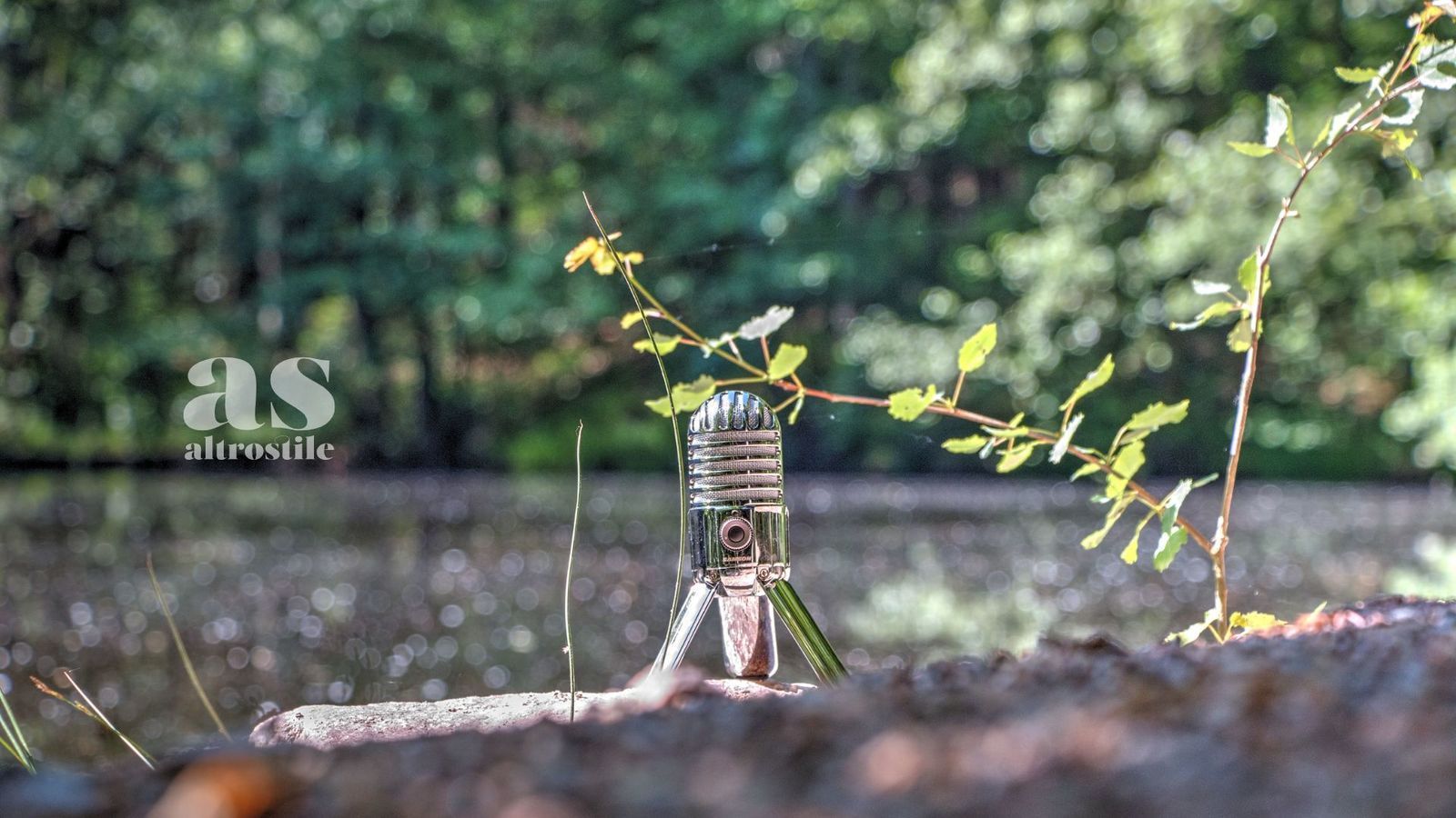 Piante Parlano AltroStile Salute E Benessere
