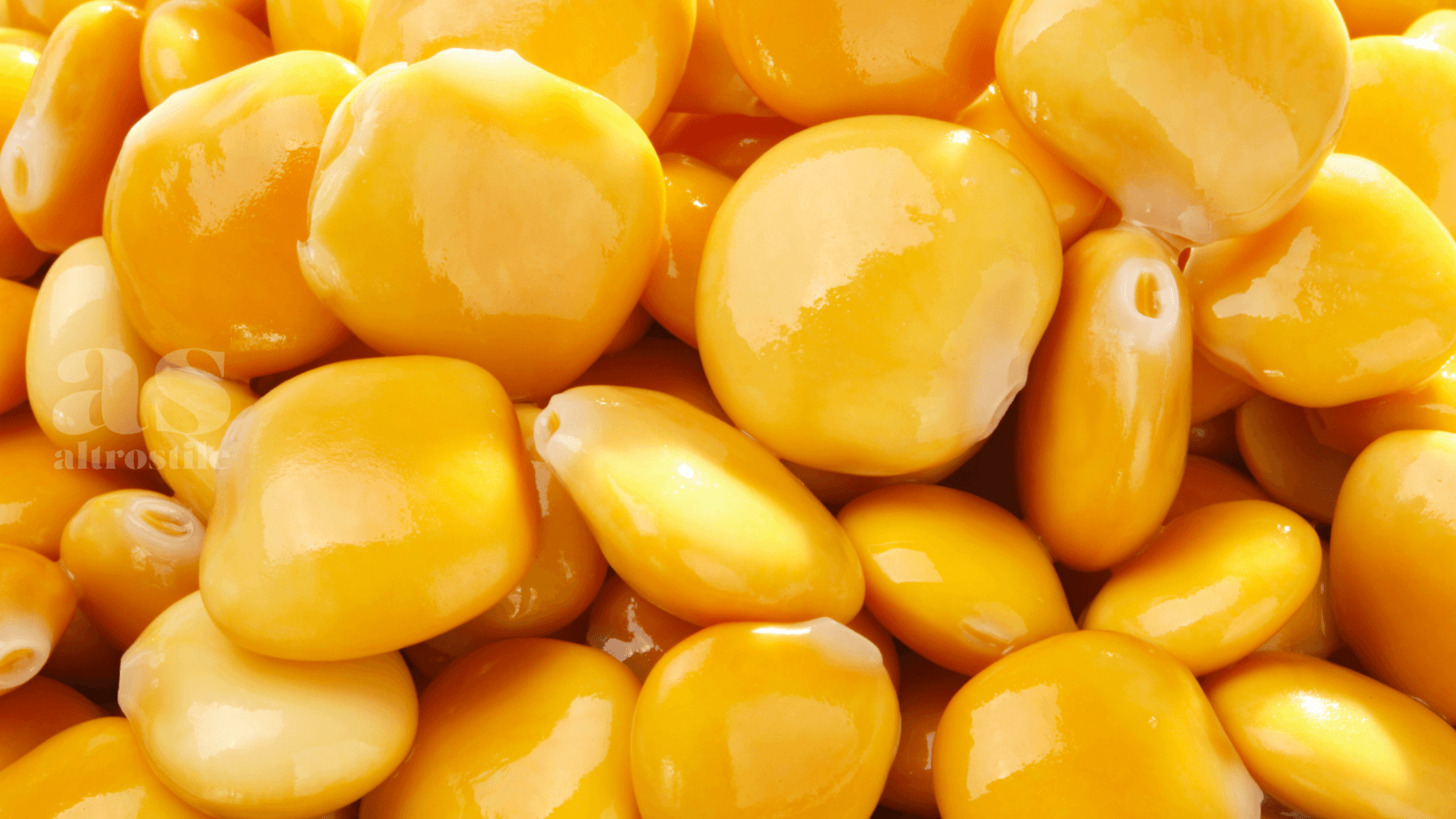 AS • Lupini; superlegumi dell'autunno per la salute metabolica AS • Lupini; superlegumi dell'autunno per la salute metabolica